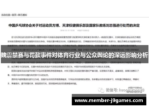 魏震禁赛与罚款事件对体育行业与公众舆论的深远影响分析