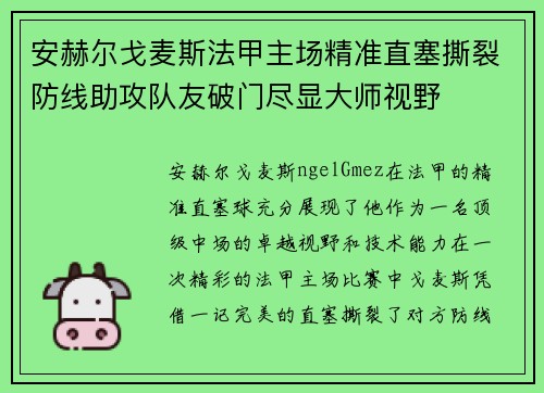 安赫尔戈麦斯法甲主场精准直塞撕裂防线助攻队友破门尽显大师视野